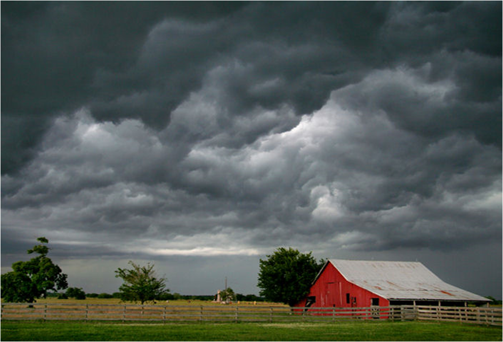 Summer Storm.