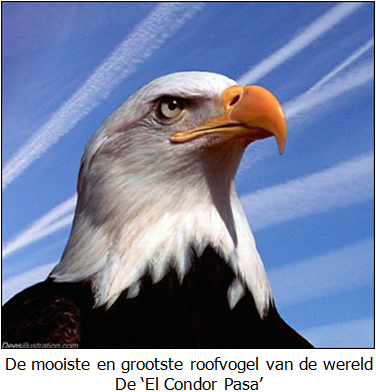 El Condor Pasa