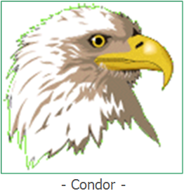 Condor.