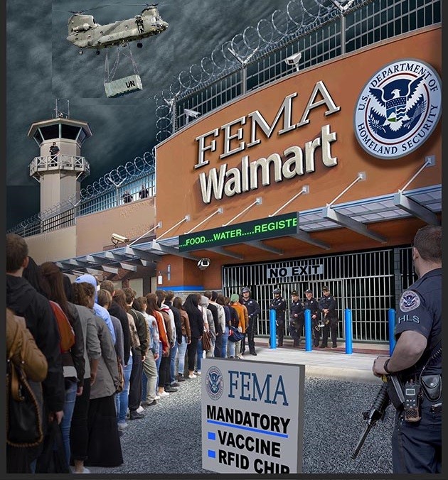 FEMA-Walmart-Biochip.jpg